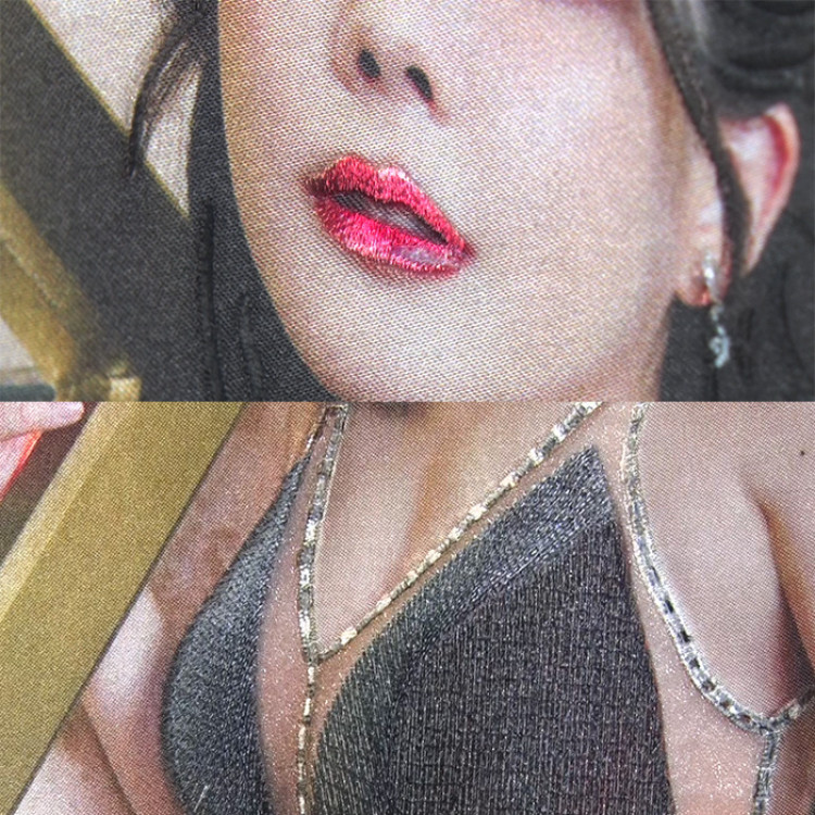 高宮まり てんパイクイーン 刺繍アート