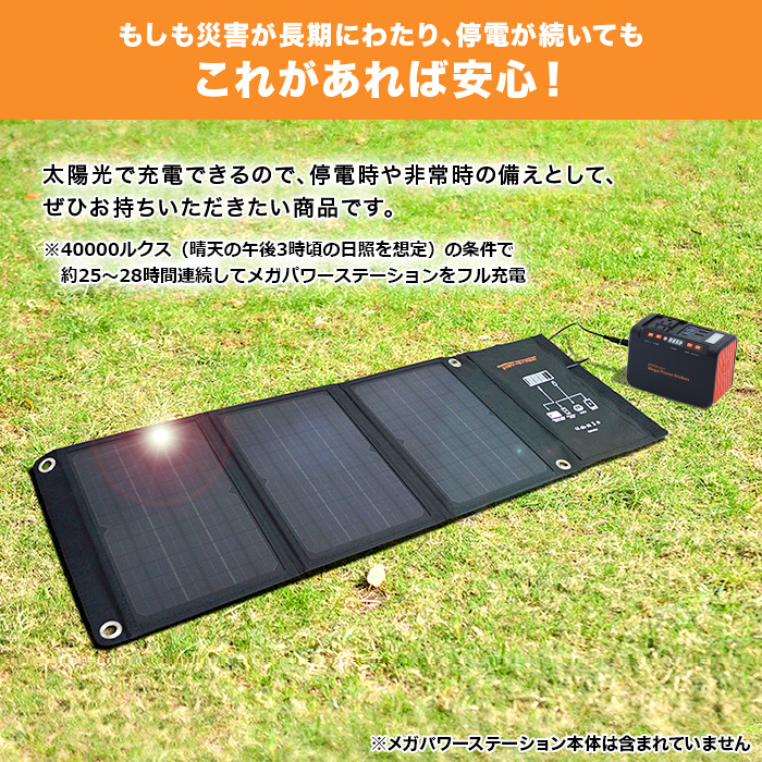 大型ソーラーパネル(21W)