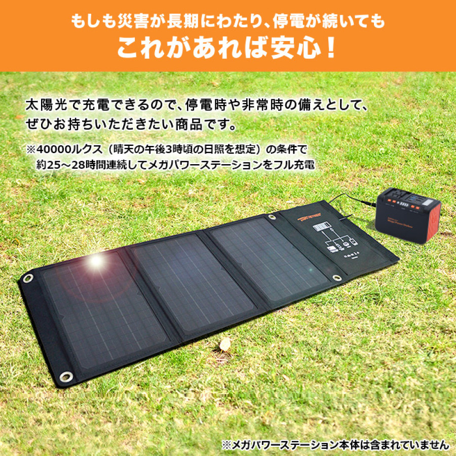 大型ソーラーパネル(21W)