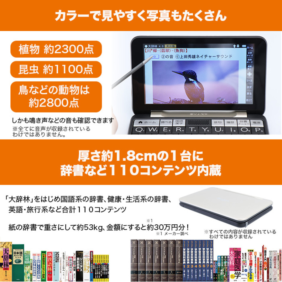 シャープ カラー電子辞書 通販モデル