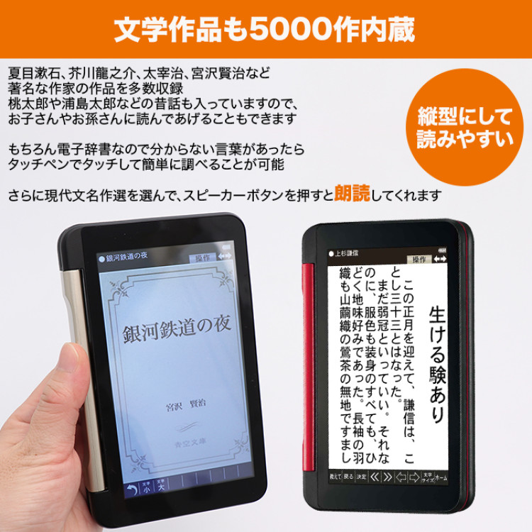 シャープ カラー電子辞書 通販モデル