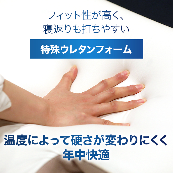 西川 睡眠Labo ピローマット Soft