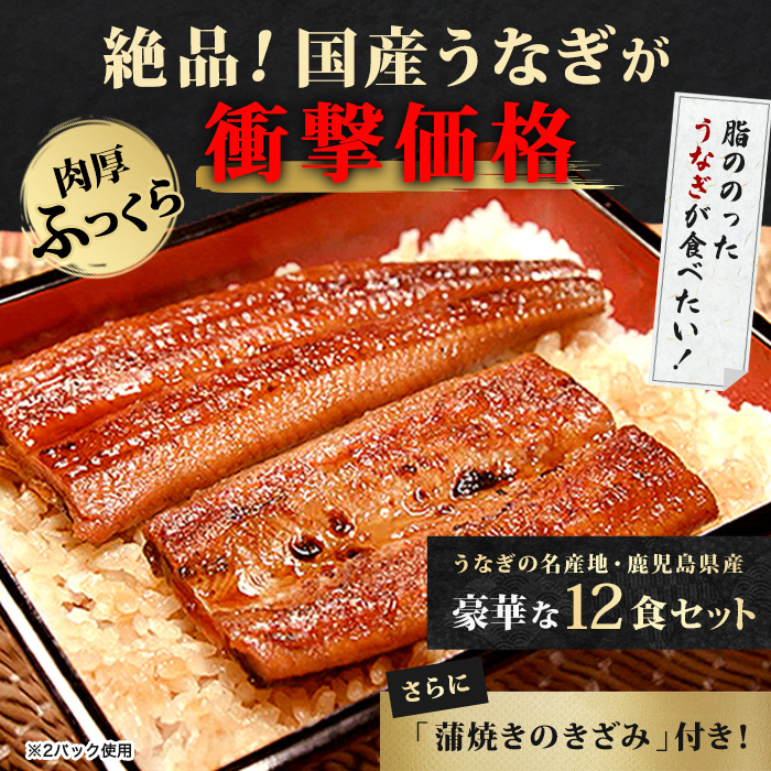 鹿児島県産うなぎ12食セット＆きざみ付き