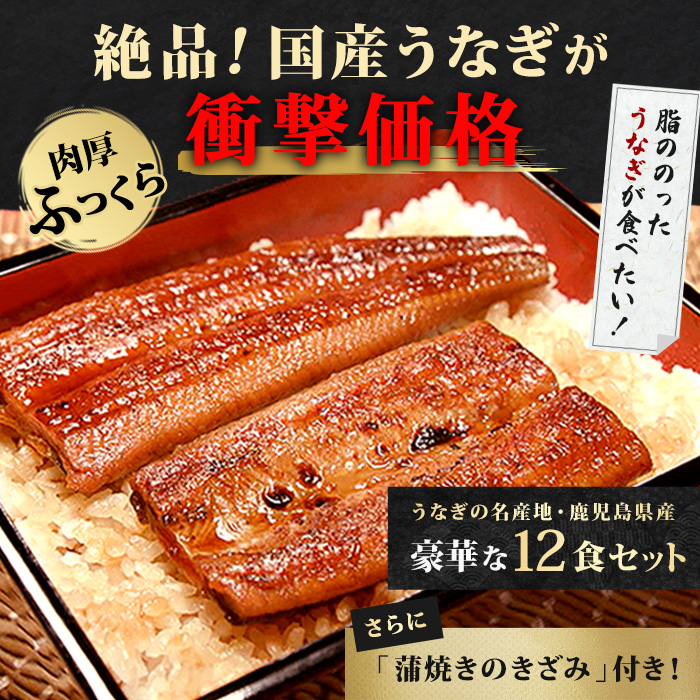 鹿児島県産うなぎ12食セット＆きざみ付き