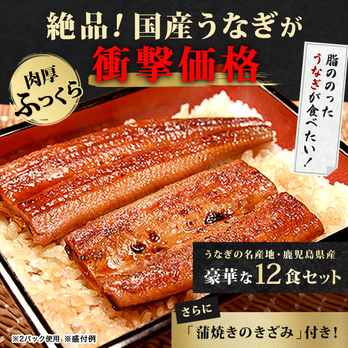 鹿児島県産うなぎ12食セット＆きざみ付き | テレビショッピング・通販