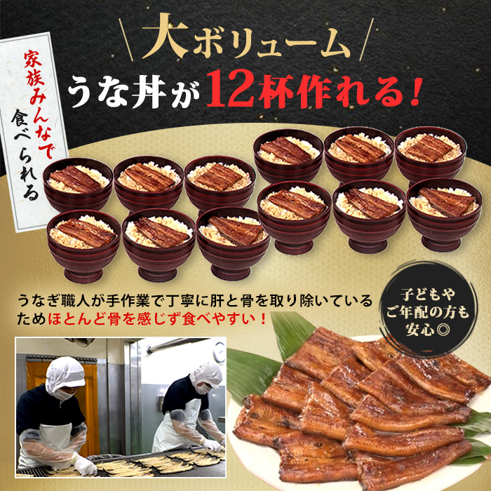 鹿児島県産うなぎ12食セット＆きざみ付き