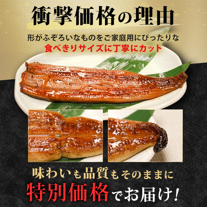 鹿児島県産うなぎ12食セット＆きざみ付き