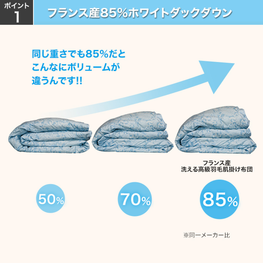 フランス産洗える高級羽毛肌掛け布団特別セット ダブル