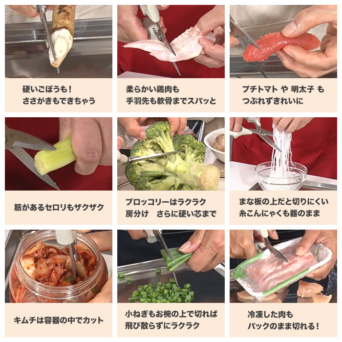 ムテキバサミ特別セット