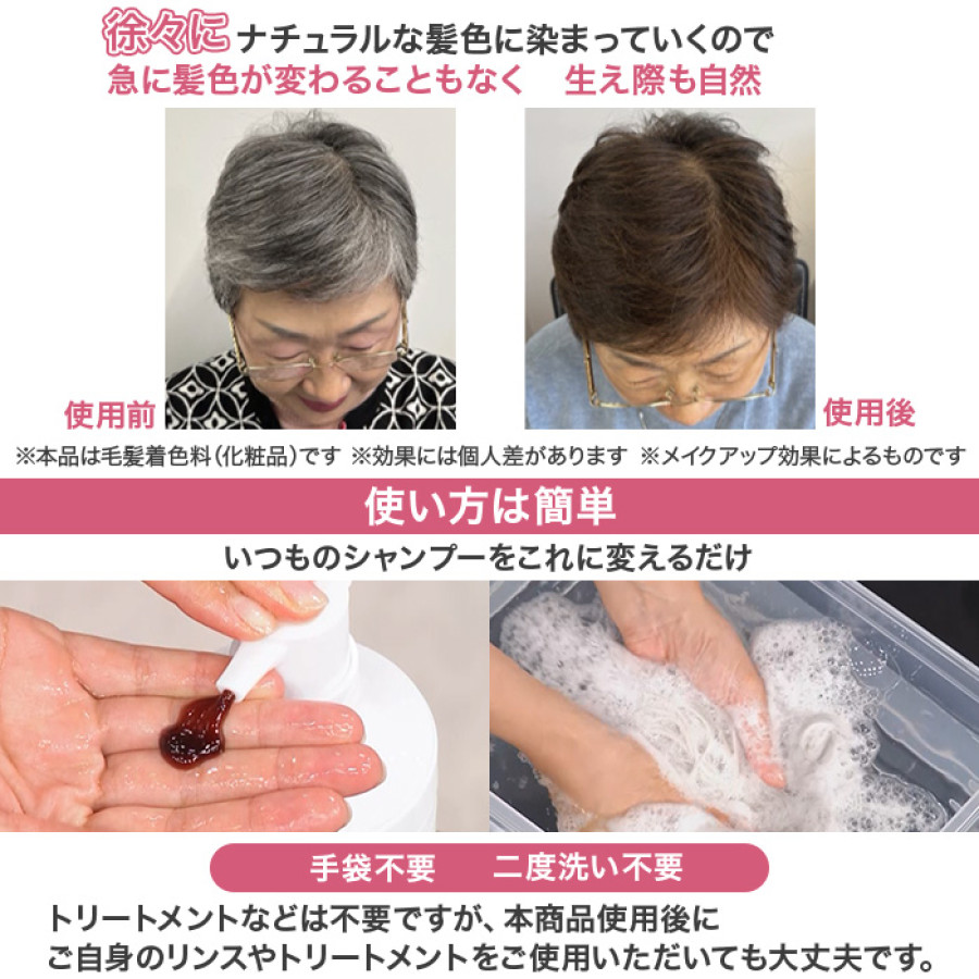 白髪用ブラックシャンプー特別2点セット