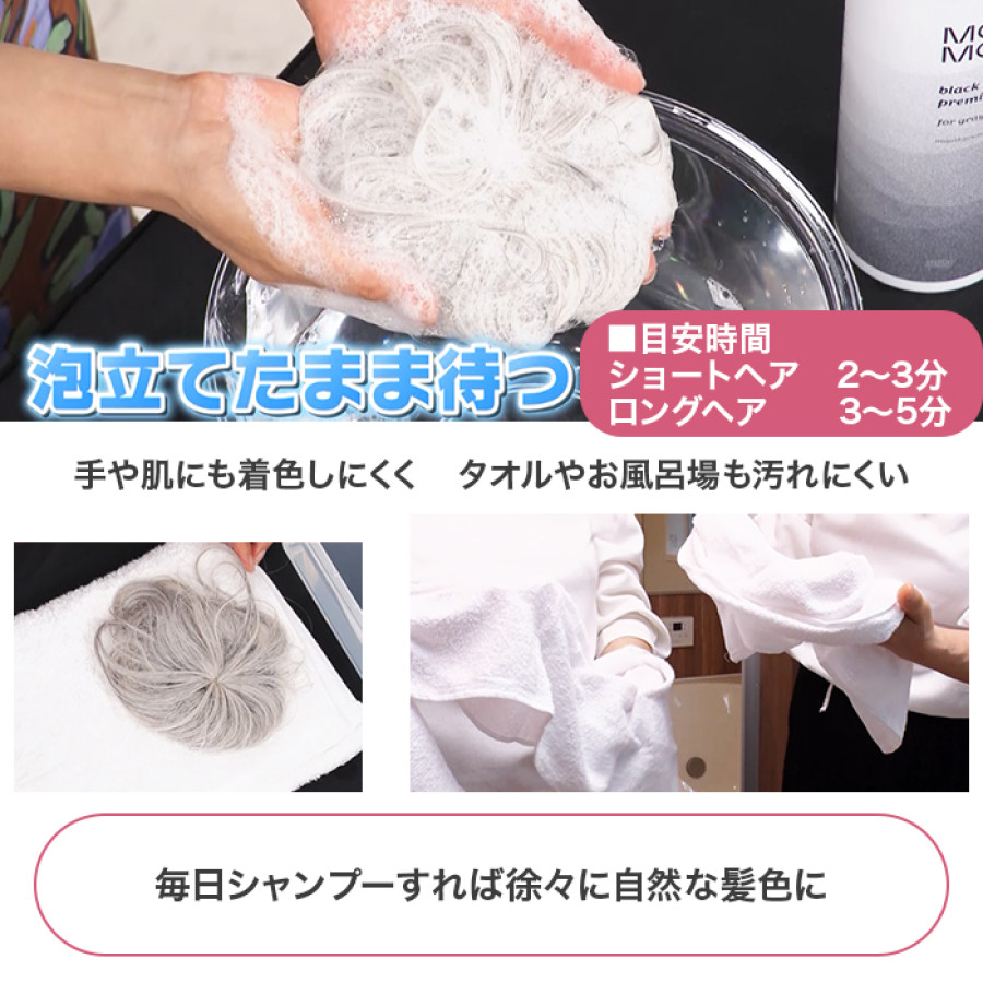 白髪用ブラックシャンプー特別2点セット