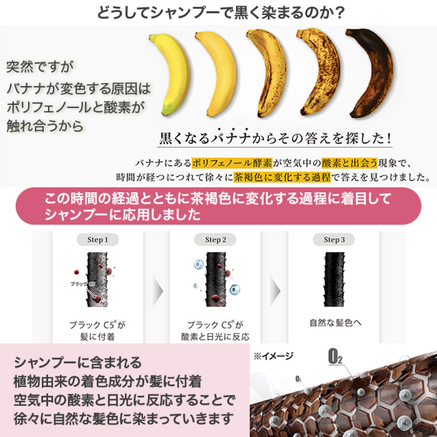 白髪用ブラックシャンプー特別2点セット