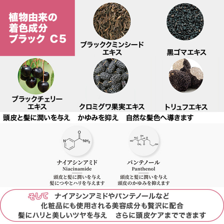 白髪用ブラックシャンプー特別2点セット