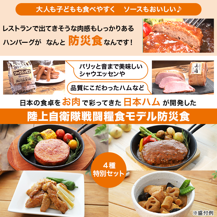 日本ハム 陸上自衛隊戦闘糧食モデル防災食 16食特別セット