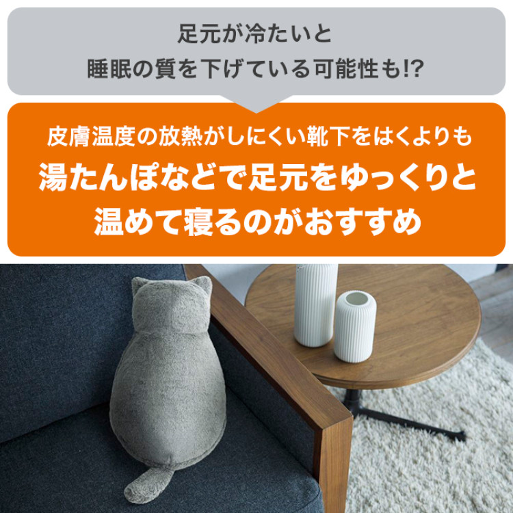 繰り返し使える！蓄熱式電気あったか湯たんぽ ネコ