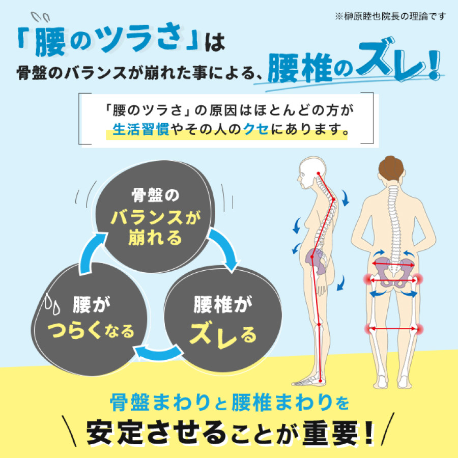 骨盤先生の楽ちん腰ベルト ダブル