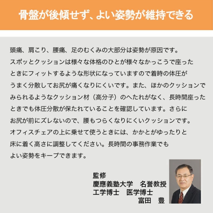 スポッとクッション&alpha; (レッド)