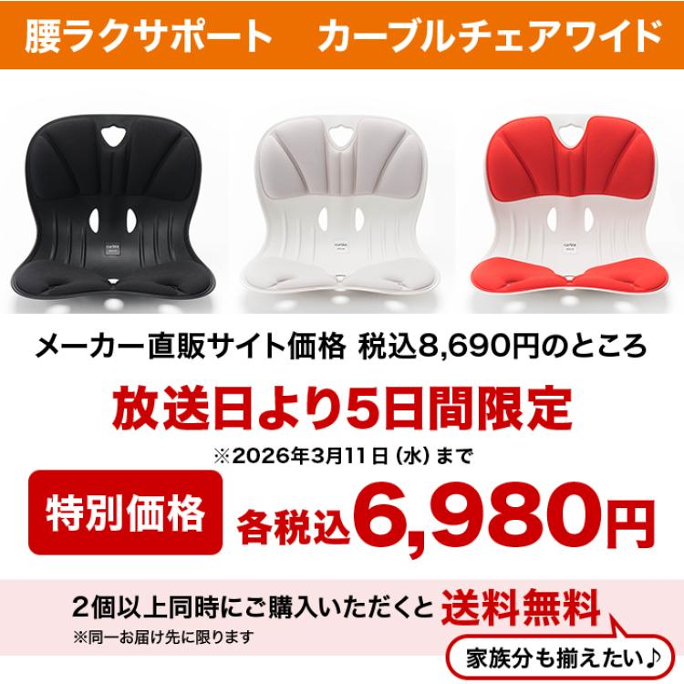 腰ラクサポート カーブルチェア ワイド