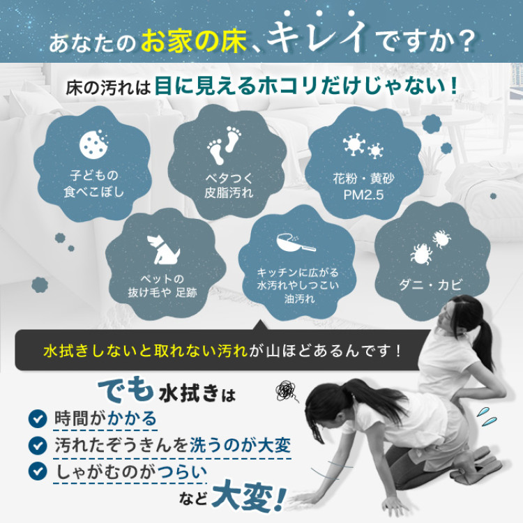 水拭き掃除機 アクアエックス