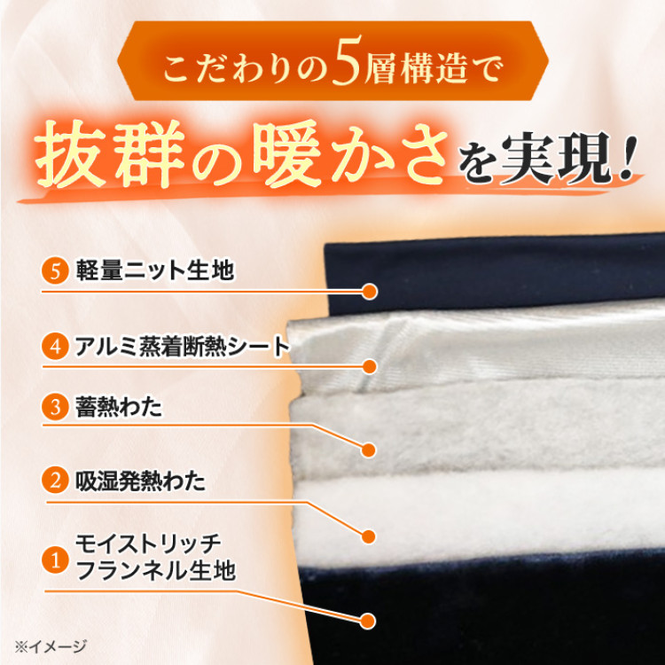 モリリン 速暖あったかオールインワン毛布＆敷きパッド プレミアム2点セット シングル