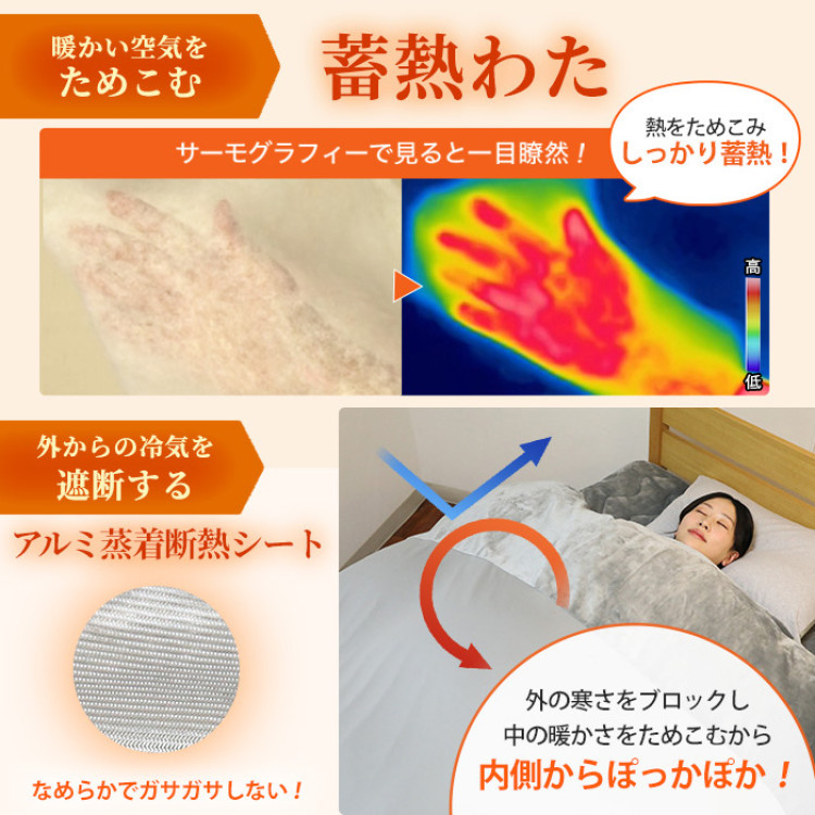 モリリン 速暖あったかオールインワン毛布＆敷きパッド プレミアム2点セット ダブル