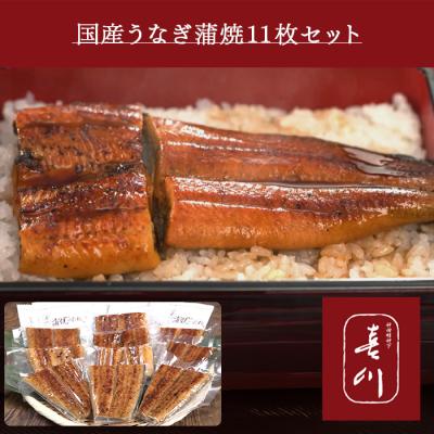 神田明神下 喜川 国産うなぎ蒲焼11枚セット