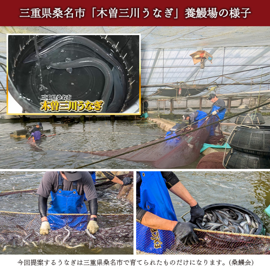 神田明神下 喜川 国産うなぎ蒲焼11枚セット