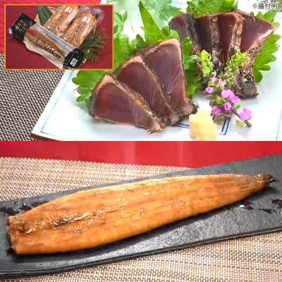 テレ朝通販限定 龍馬タタキと四万十うなぎ蒲焼 特別セット