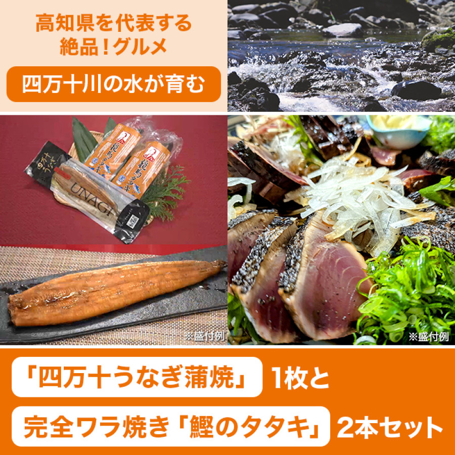 テレ朝通販限定 龍馬タタキと四万十うなぎ蒲焼 特別セット