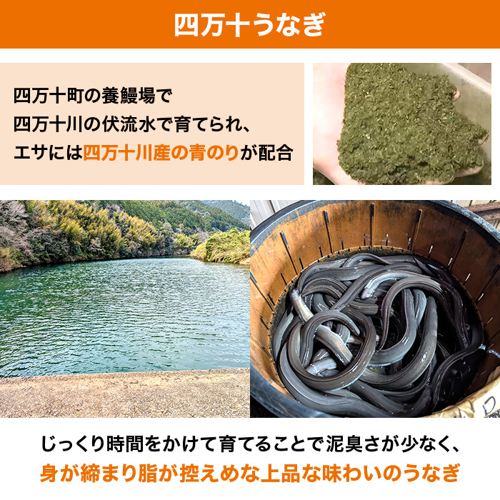 テレ朝通販限定 龍馬タタキと四万十うなぎ蒲焼 特別セット