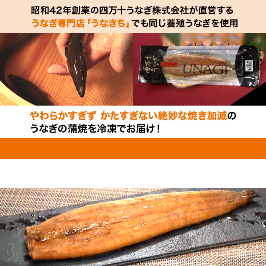 テレ朝通販限定 龍馬タタキと四万十うなぎ蒲焼 特別セット