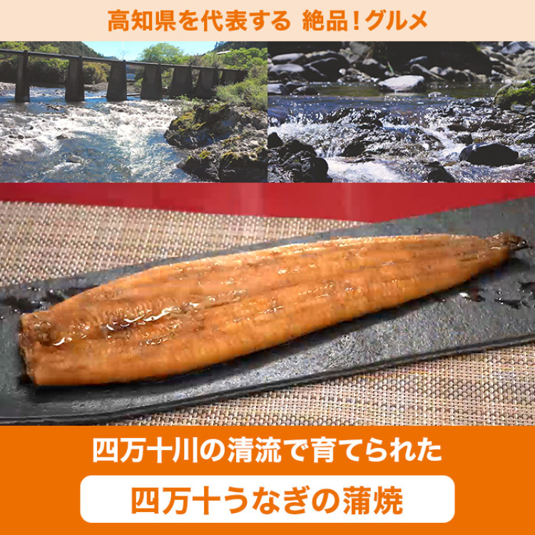 四万十うなぎ蒲焼 3枚セット