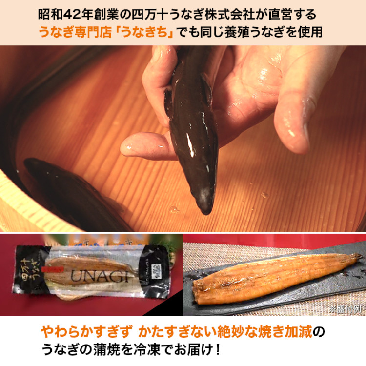四万十うなぎ蒲焼 3枚セット