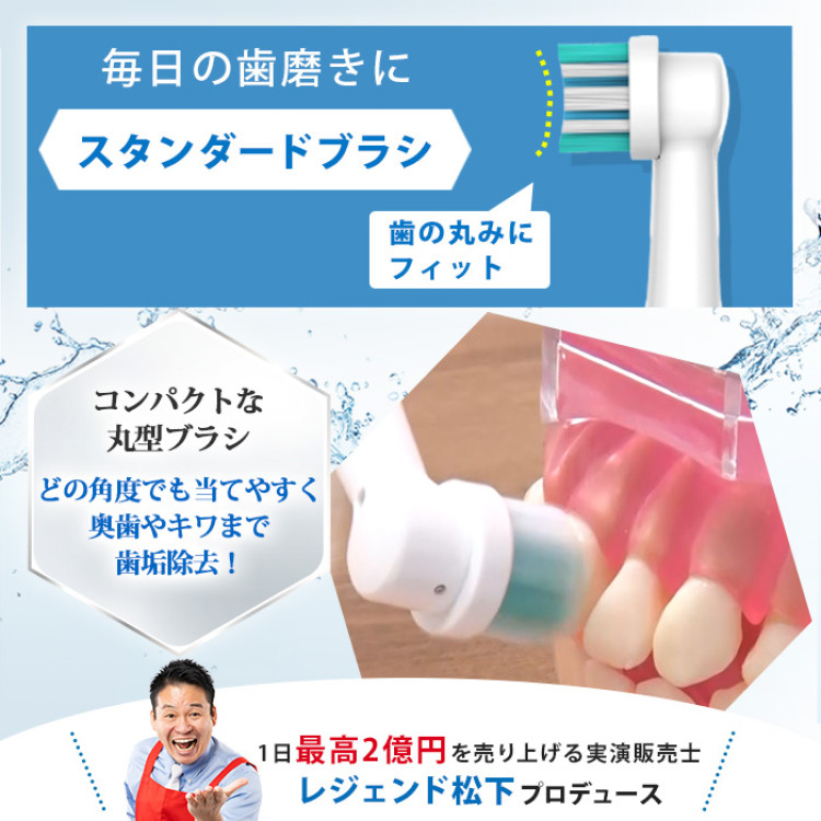 ラウンブラッシュLE専用 スタンダードブラシ2本組