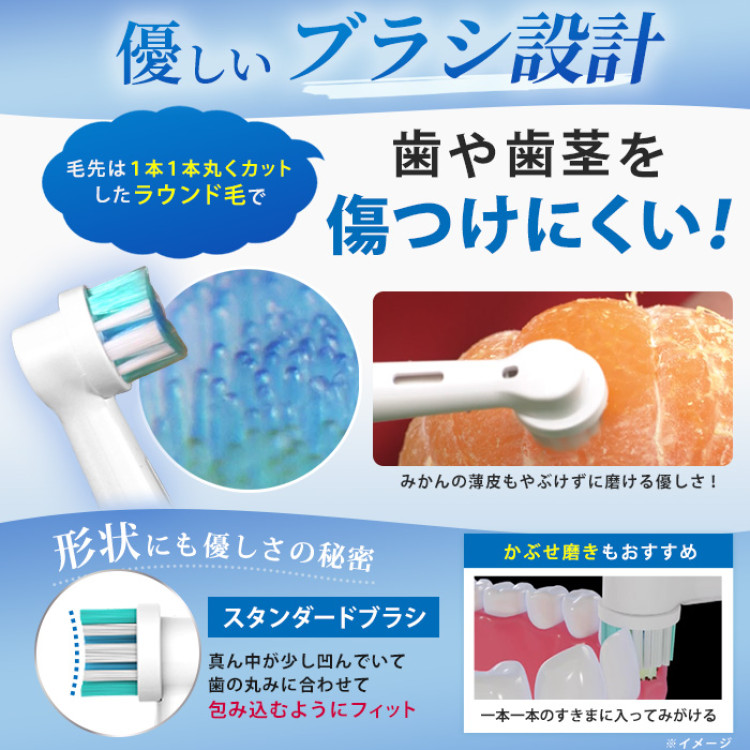 ラウンブラッシュLE専用 スタンダードブラシ2本組