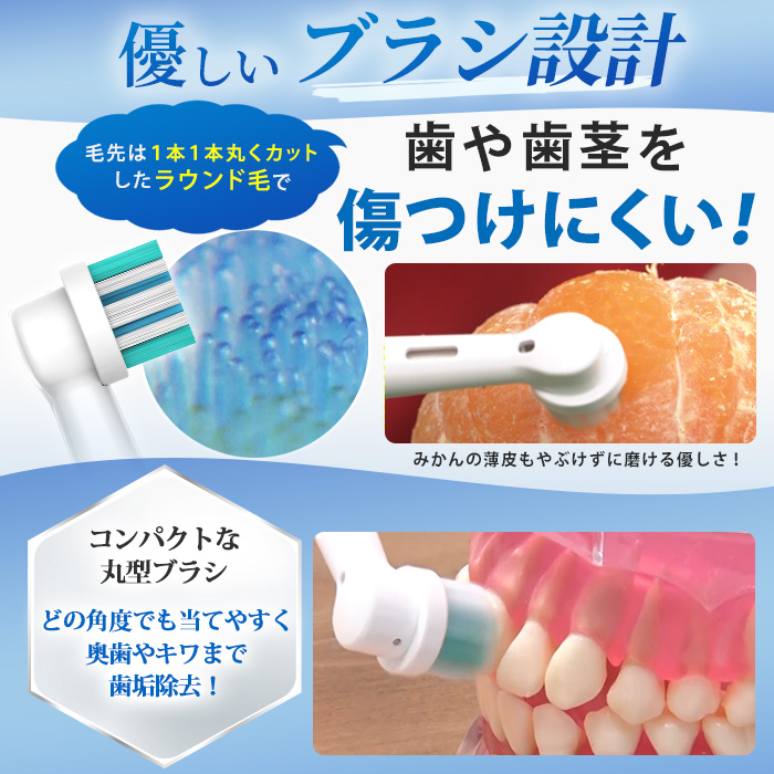 ラウンブラッシュLE専用 スペシャルケアブラシ2本組