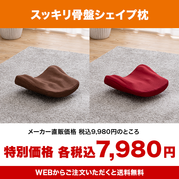 スッキリ骨盤シェイプ枕