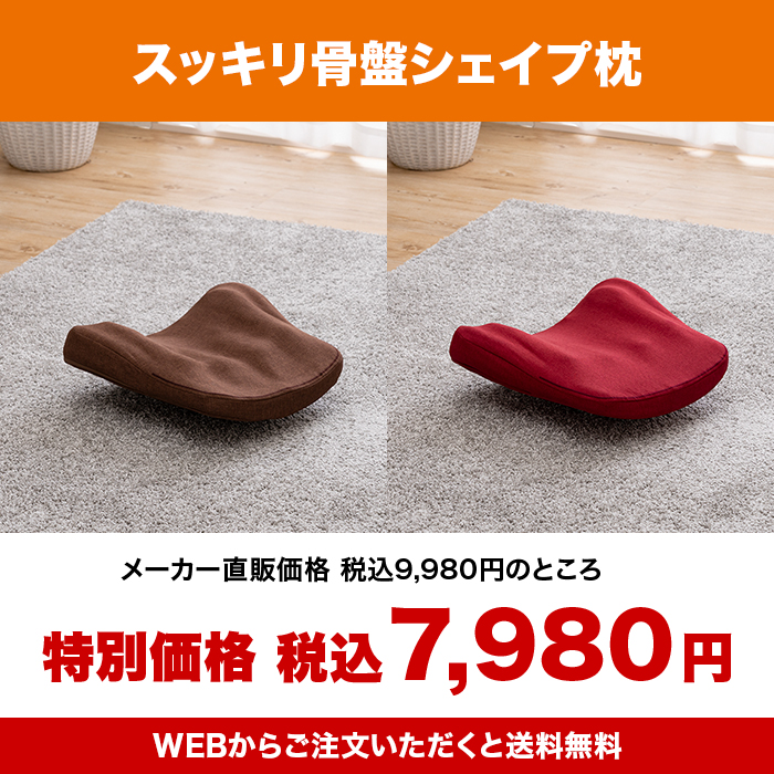 スッキリ骨盤シェイプ枕 | テレビショッピング・通販のロッピング 