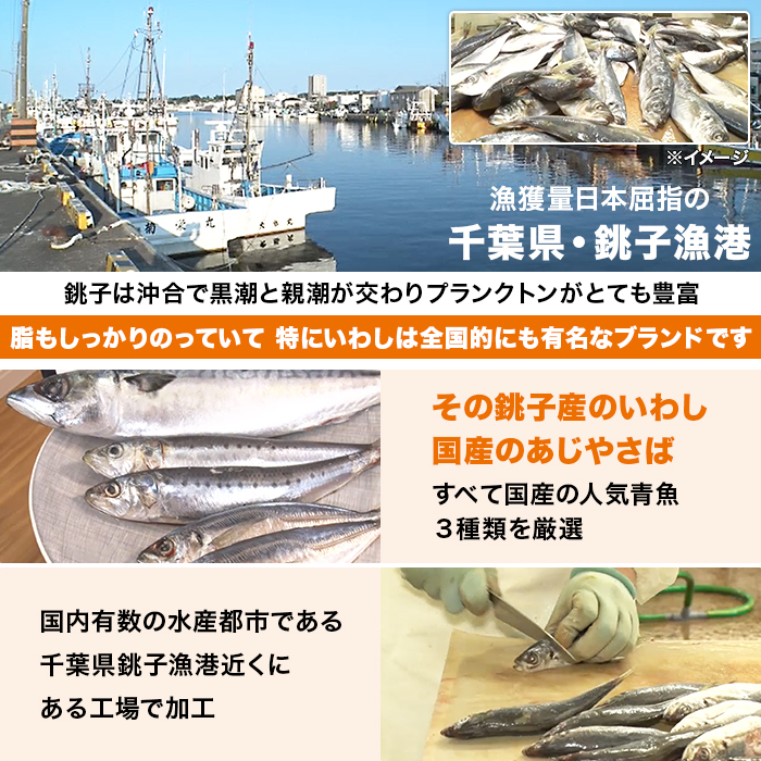 骨までやわらか煮魚 24食特別セット