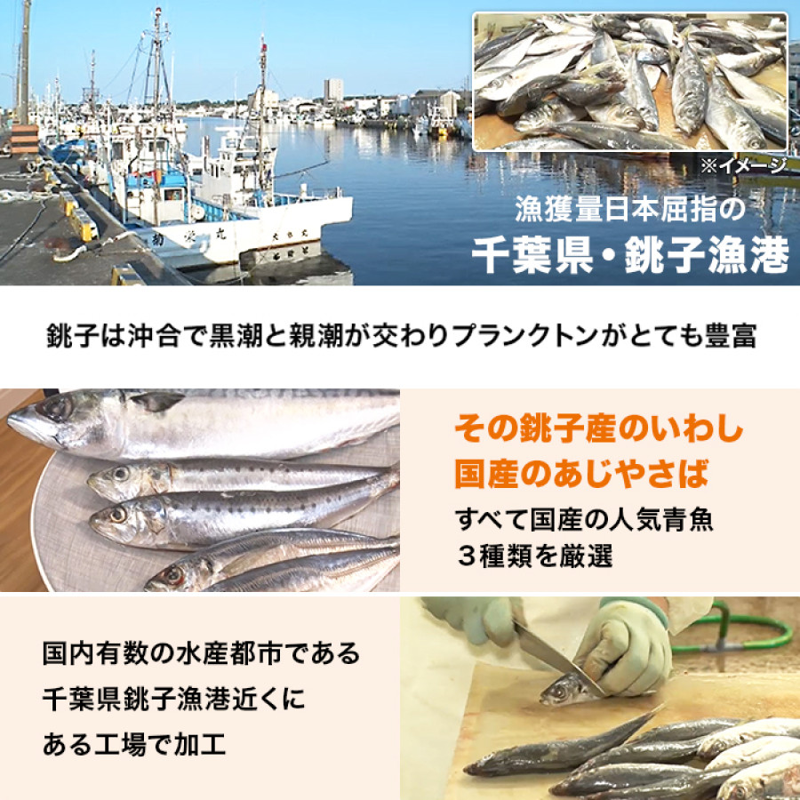 骨までやわらか煮魚 24食特別セット