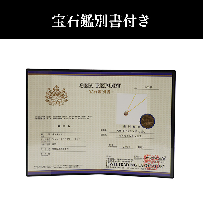 大丸松坂屋外商部 純金2.0ctダイヤモンドペンダントセット