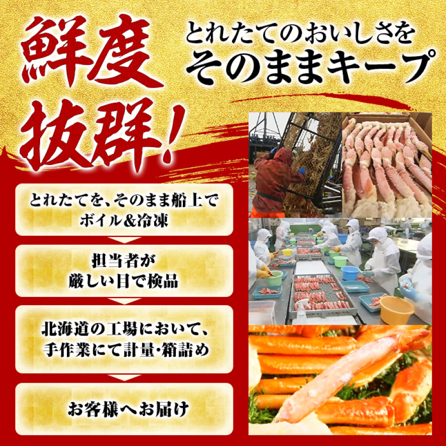 ボイル本ズワイガニ脚肉 食べ尽くしセット 1kg
