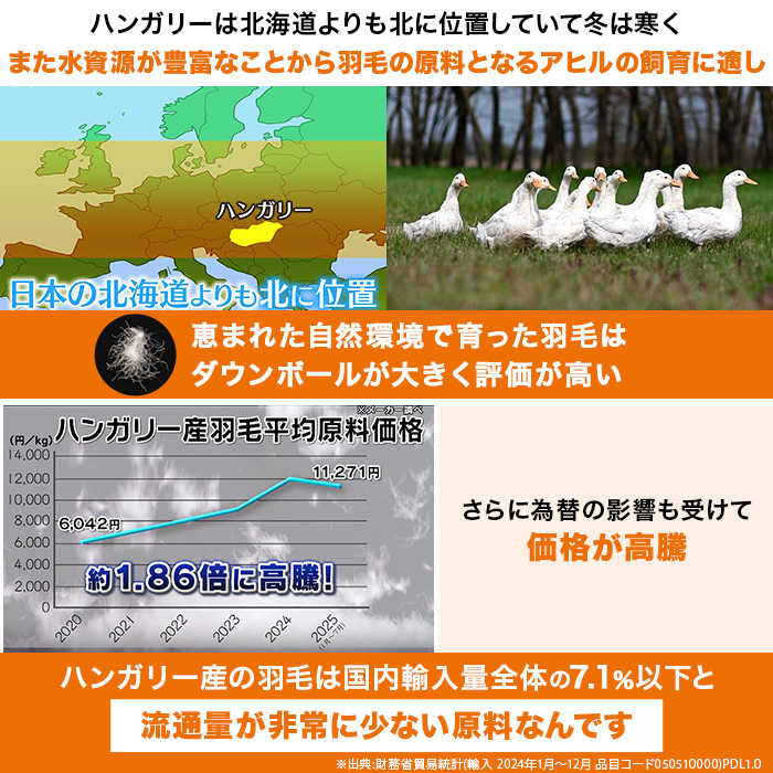 モリリン ハンガリー産4つ星ホワイトダックダウン高級羽毛掛け布団 シングル