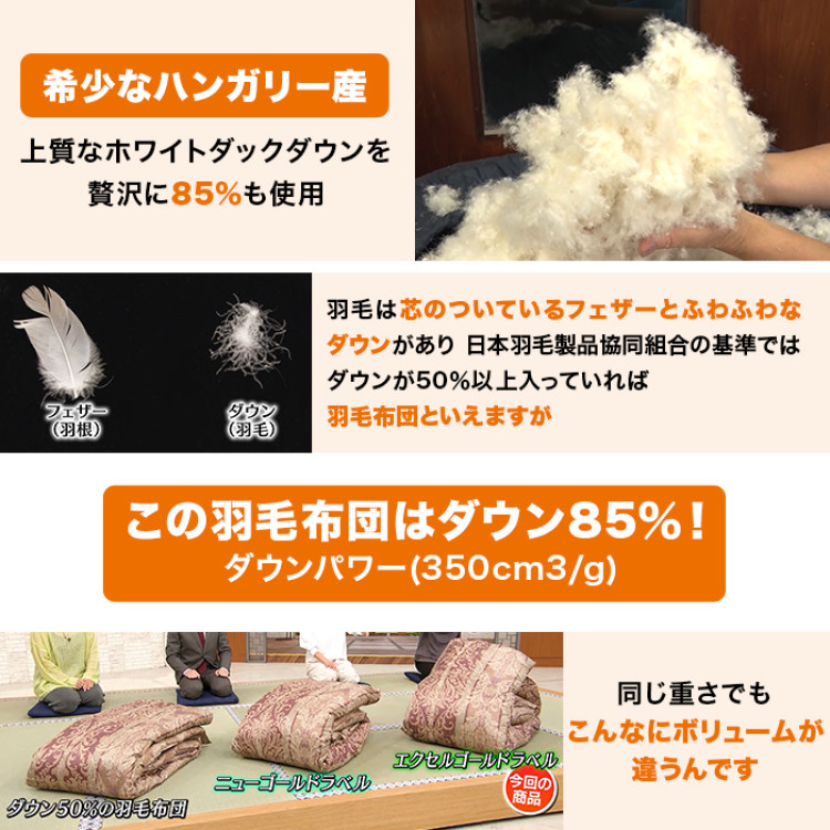 モリリン ハンガリー産4つ星ホワイトダックダウン高級羽毛掛け布団 ダブル