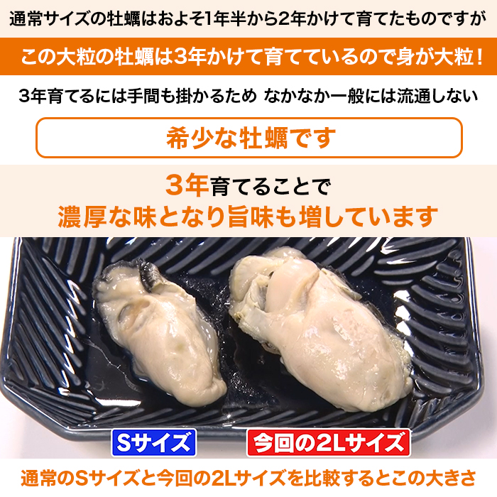 広島県産 大粒浜ゆで牡蠣2個セット
