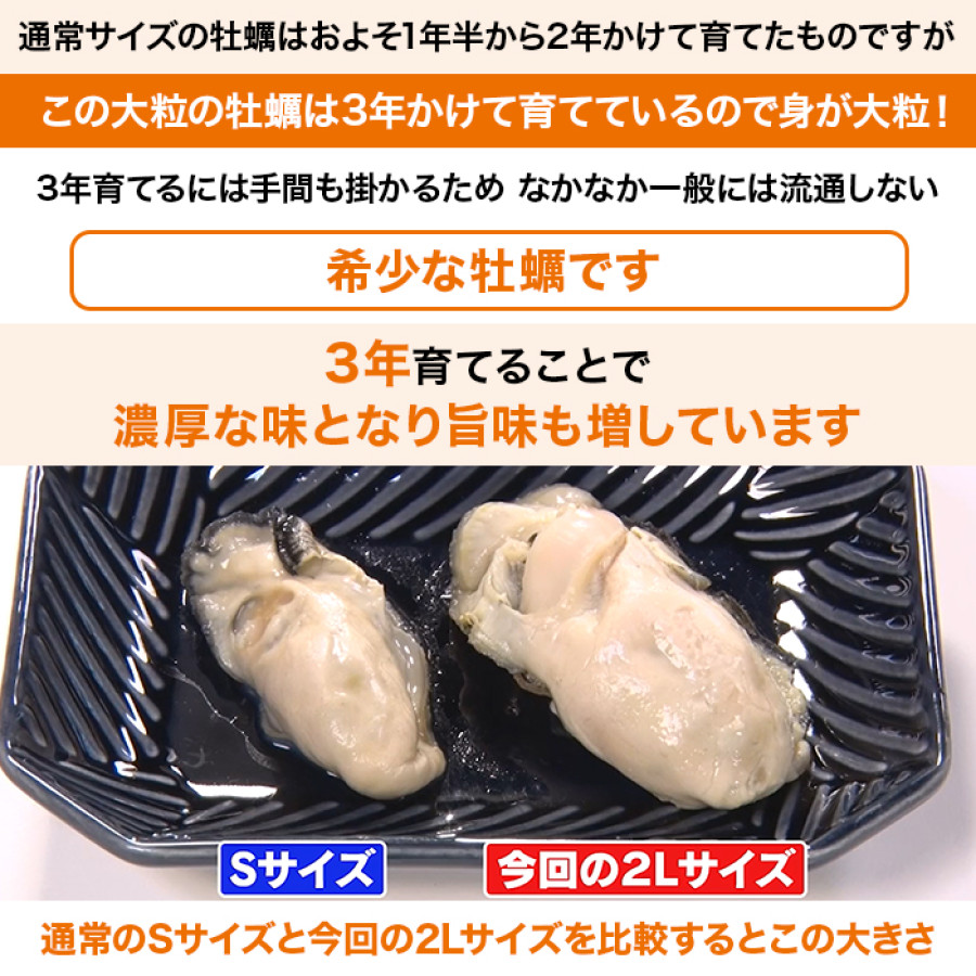 広島県産 大粒浜ゆで牡蠣2個セット