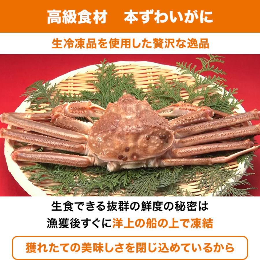 生 本ズワイガニ脚肉むき身 400g