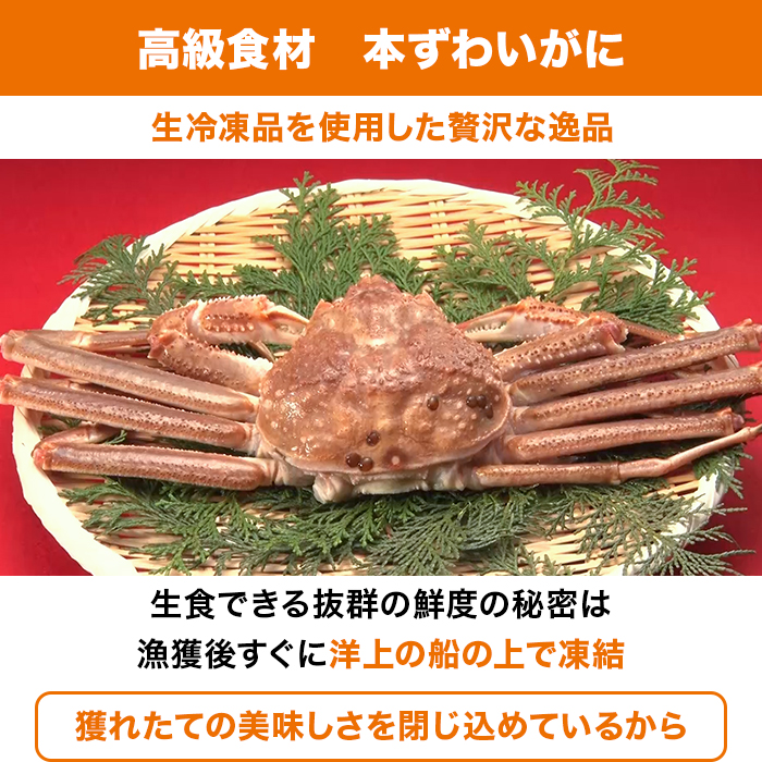 生 本ズワイガニ脚肉むき身 1.2kg