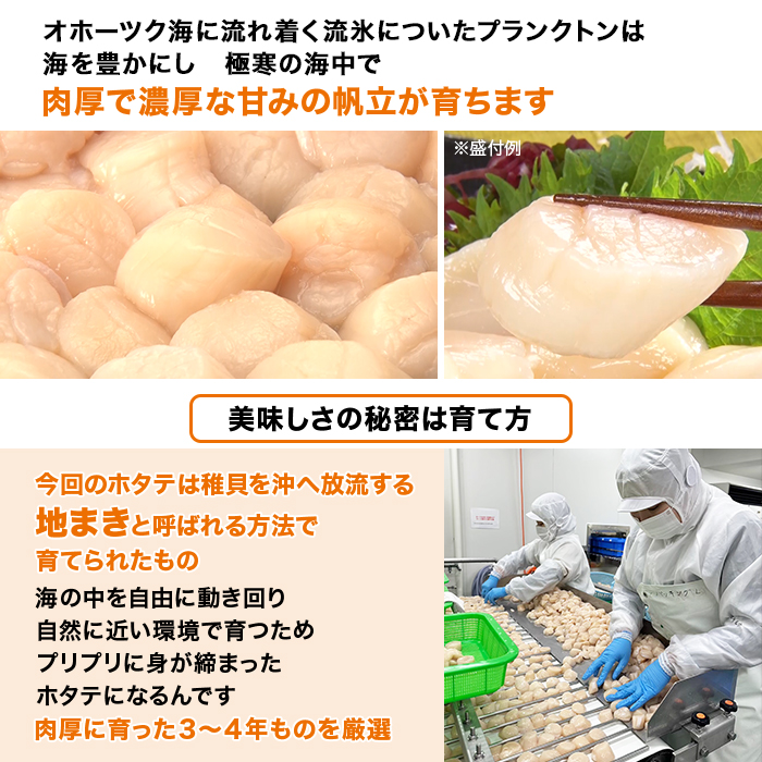 北海道オホーツク産 ほたて貝柱 1kg