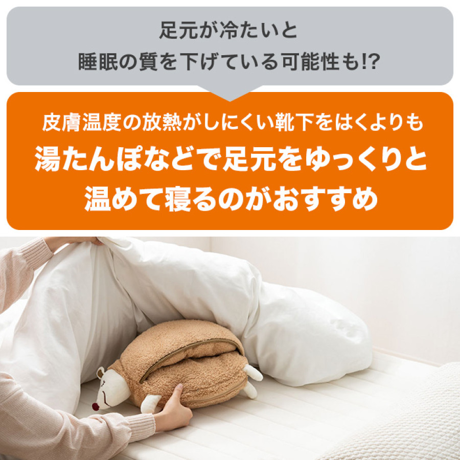 繰り返し使える！蓄熱式電気あったか湯たんぽ＆フットウォーマーセット